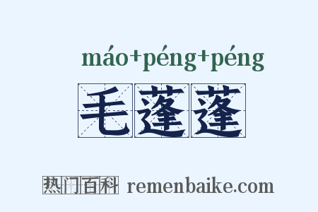 毛蓬蓬是什么意思的图片